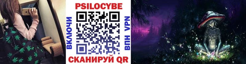 Псилоцибиновые грибы мицелий  продажа наркотиков  Власиха 